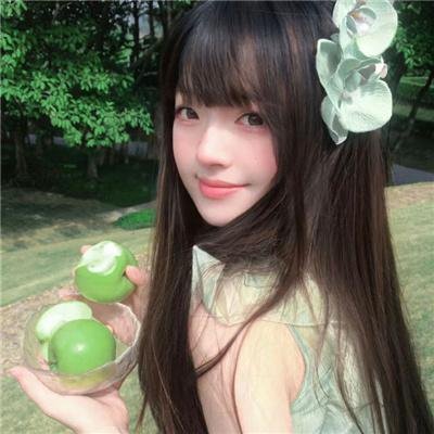 天食向日葵